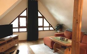 Kleines Haus Silberdistel